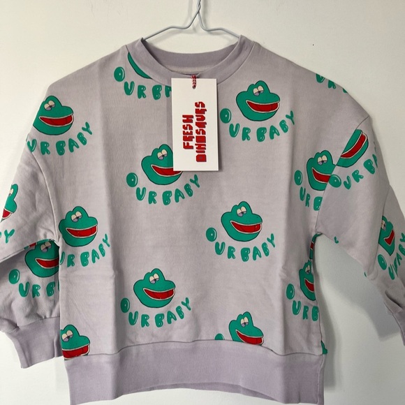 Fresh Dinosaurs Kids Frog Print Sweatshirt. 100% organic cotton. Made in Spain - Picture 1 of 2